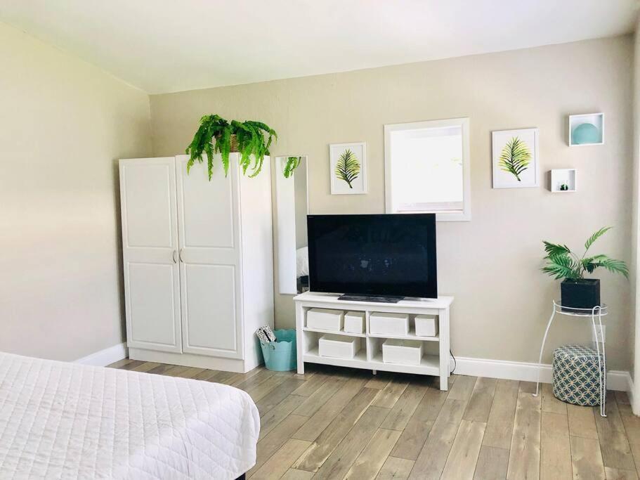 Paradise Hideaway Entire Guest Home Near Beach Clearwater Bagian luar foto