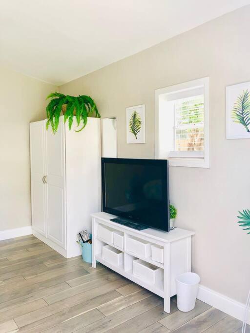 Paradise Hideaway Entire Guest Home Near Beach Clearwater Bagian luar foto